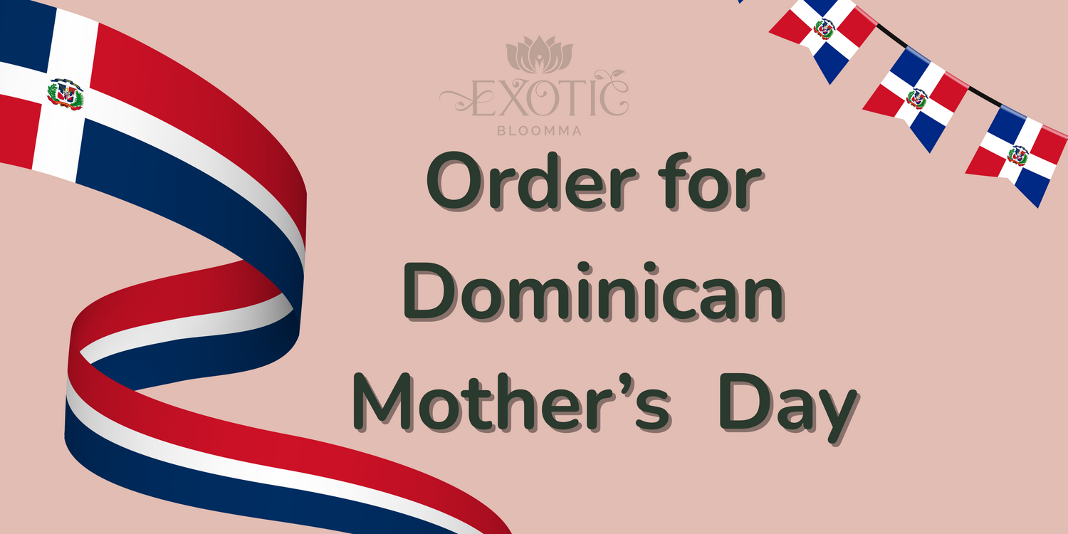🇩🇴Mother's Day🇩🇴