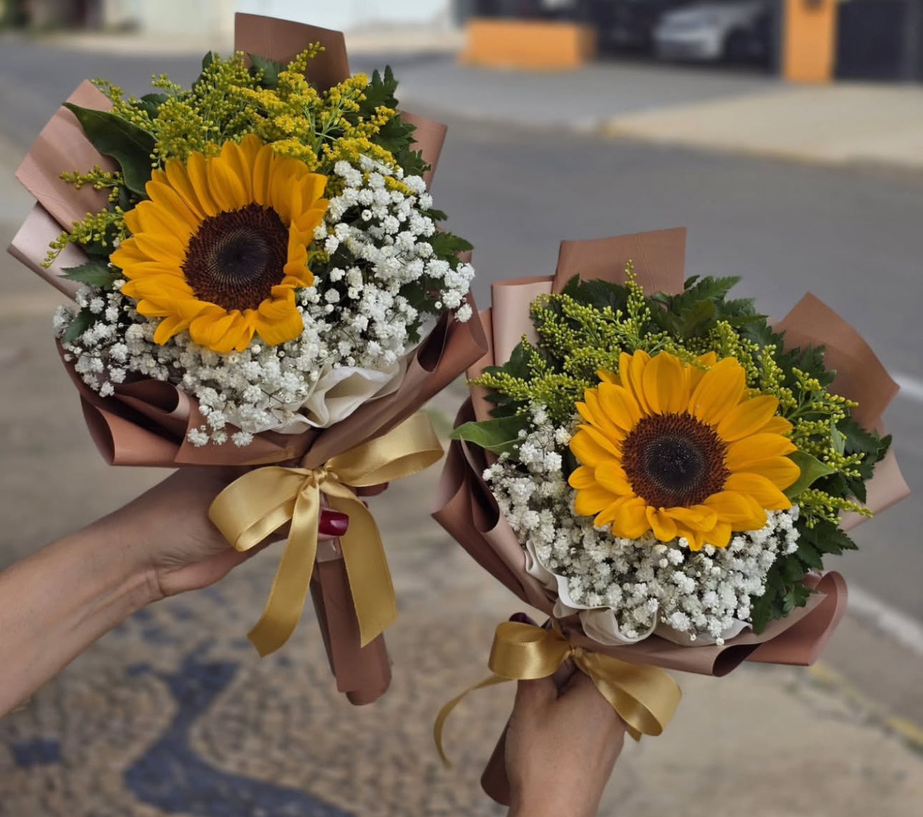 Sunflower
