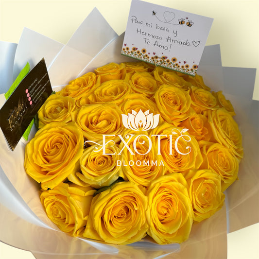 Cinderella Roses
